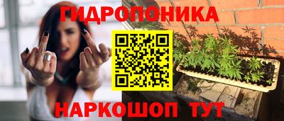 бошки Заволжье