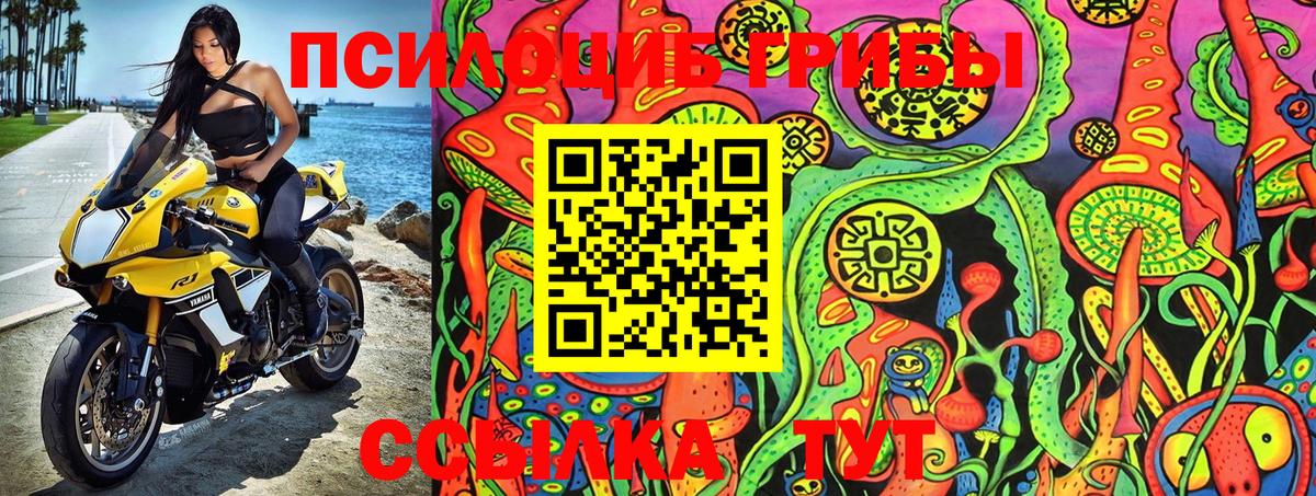 Галлюциногенные грибы Psilocybe Коломна